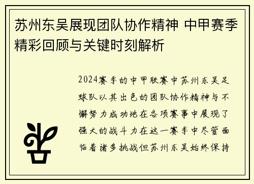 苏州东吴展现团队协作精神 中甲赛季精彩回顾与关键时刻解析