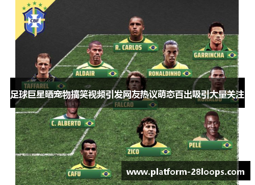 足球巨星晒宠物搞笑视频引发网友热议萌态百出吸引大量关注 足球巨星晒宠物搞笑视频引发网友热议萌态百出吸引大量关注