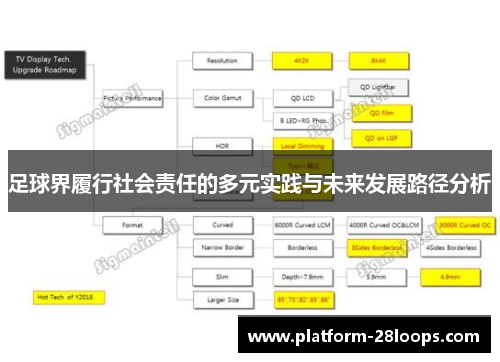 足球界履行社会责任的多元实践与未来发展路径分析