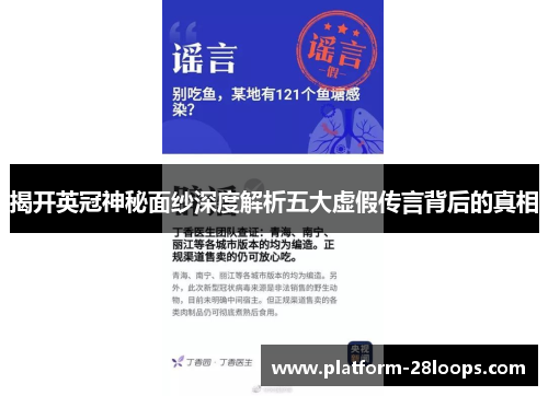 揭开英冠神秘面纱深度解析五大虚假传言背后的真相