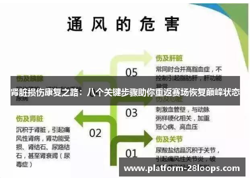 肾脏损伤康复之路：八个关键步骤助你重返赛场恢复巅峰状态