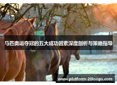 马匹奥运夺冠的五大成功因素深度剖析与策略指导 马匹奥运夺冠的五大成功因素深度剖析与策略指导